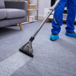 carpet and rug cleaning services