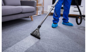 carpet and rug cleaning services